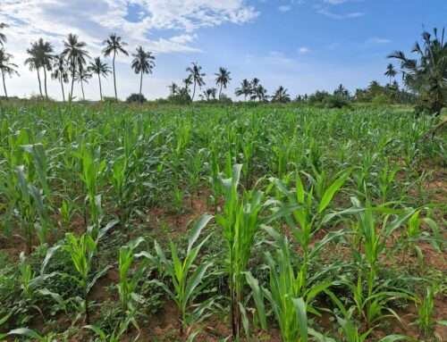 COOPERATIVA AGRICOLA SHAKAHOLA